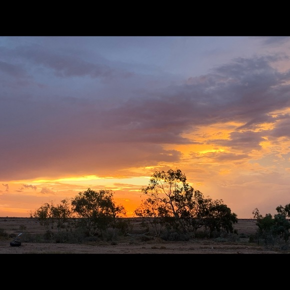 Meet your Posher, Sally-anne - Picture 1 of 1